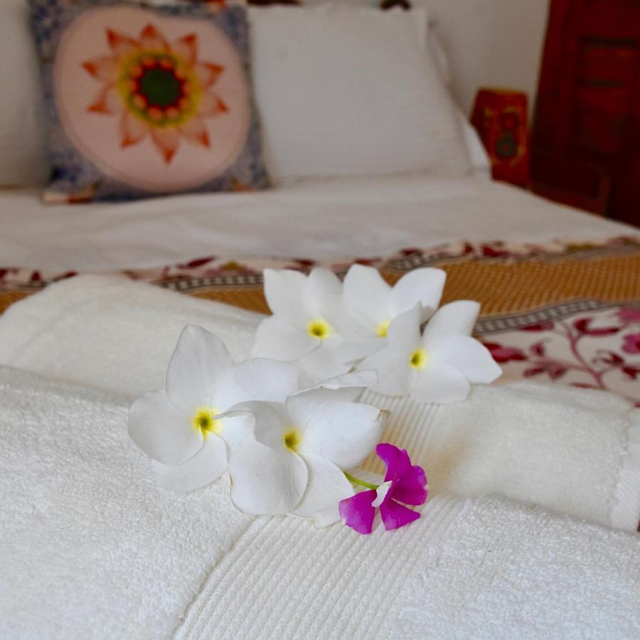 Jasmin Villa Hampi Dış mekan fotoğraf